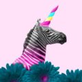 Zebra or unicorn. Think differently concept