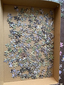 Sorting jigsaw puzzle pieces in a box